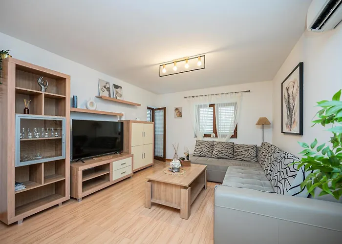 House With A Parking Space Novigrad - 23821